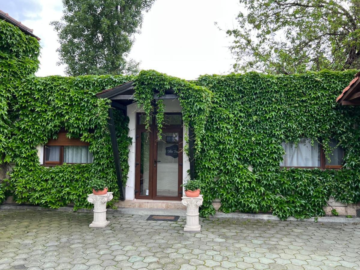 Hotel Larissa Timisoara Esterno foto